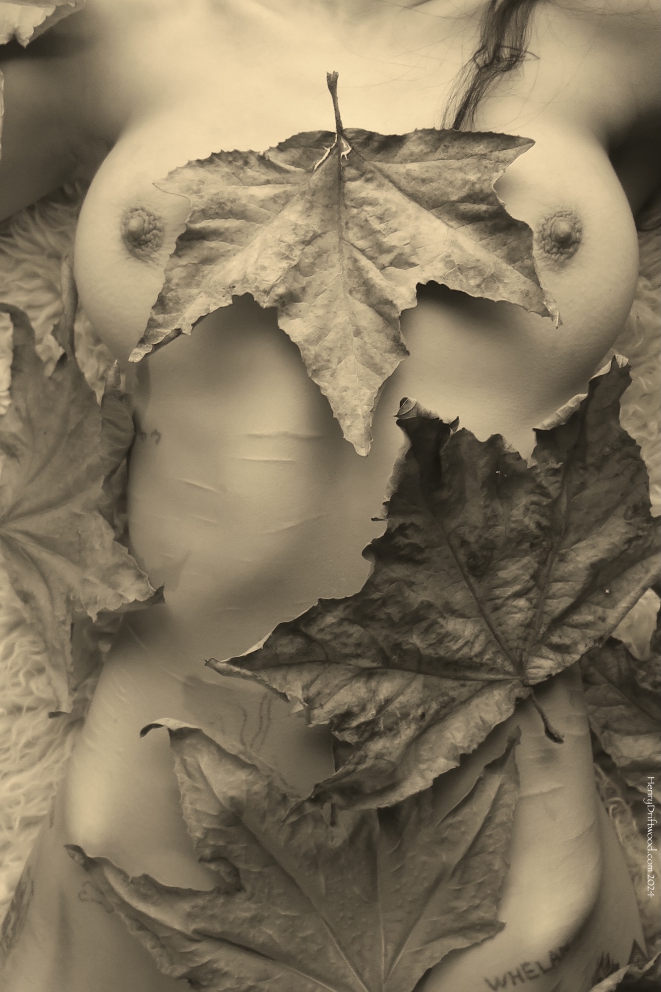 Lemuria's Leaves