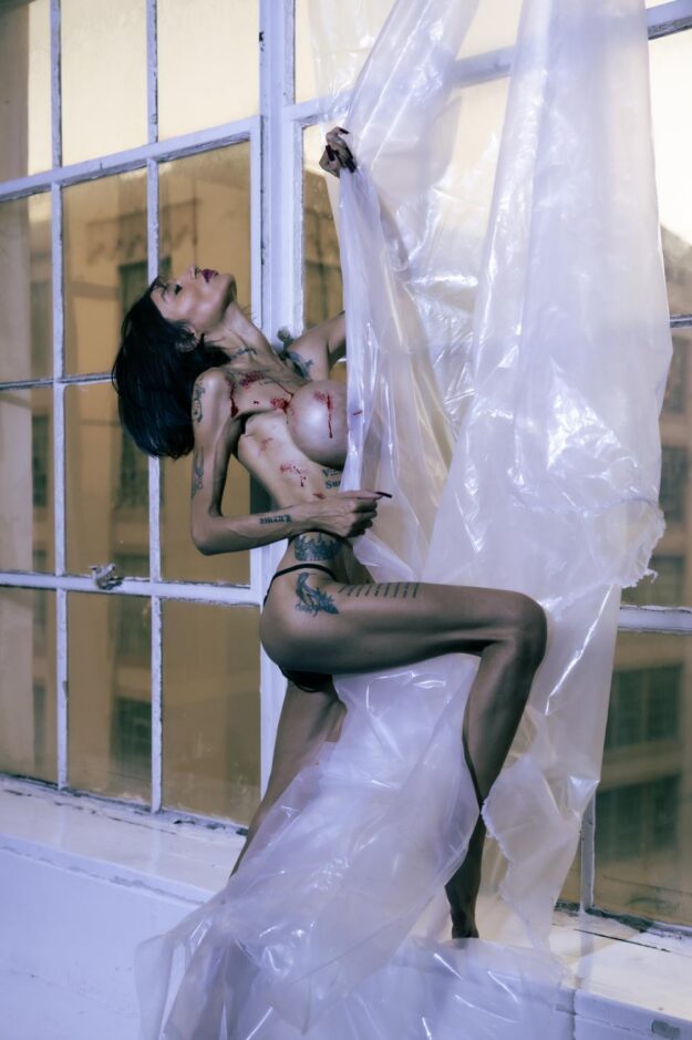Clear Veil