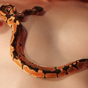 Serpent of Desire
